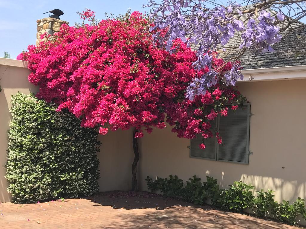 The Parkwood Hotell Johannesburg Exteriör bild