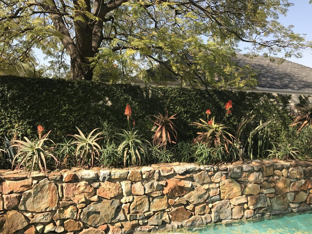 The Parkwood Hotell Johannesburg Exteriör bild